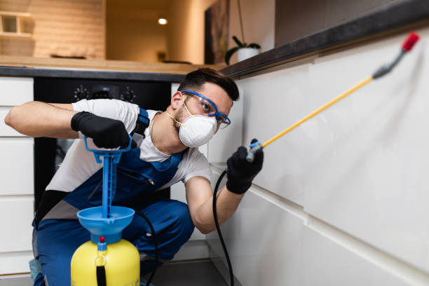 Best Pest Control Near Me in Visalia, CA
