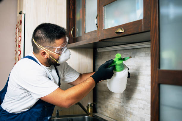 Best Residential Pest Control  in Visalia, CA