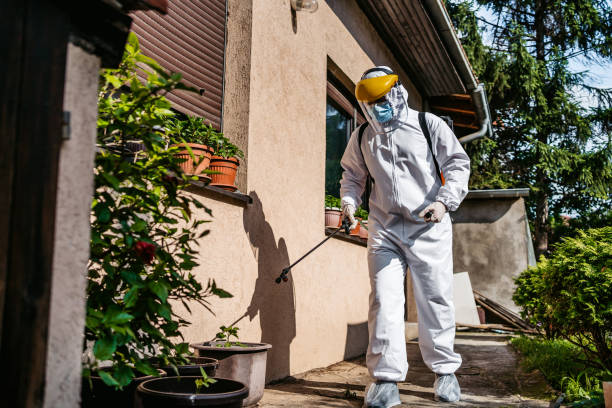 Flea Control Services in Visalia, CA