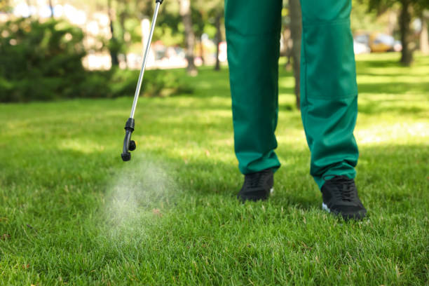  Visalia, CA Pest Control Pros
