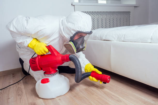 Best Mosquito Control Services  in Visalia, CA