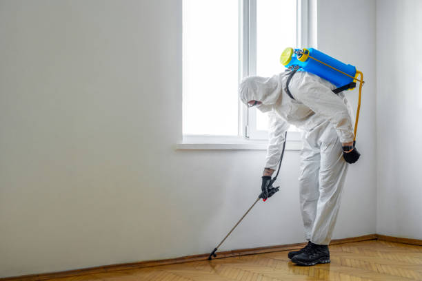 Best Pest Control Treatment  in Visalia, CA
