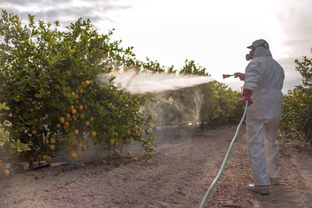Professional Pest Control in Visalia, CA