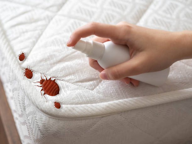 Best Best Pest Control Near Me  in Visalia, CA