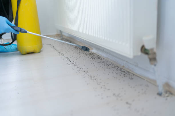 Best Bed Bug Extermination  in Visalia, CA